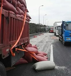貨物灑落，安全至上 貨運車輛事故應對與防護指南